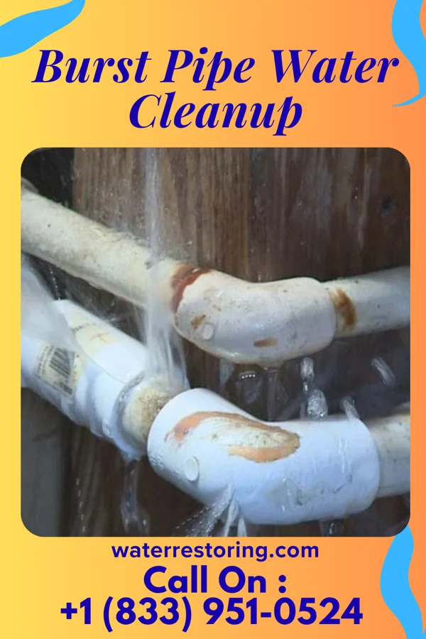 Burst Pipe Water Cleanup in Monomoscoy Island, MA