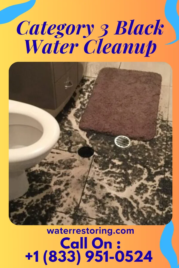 Category 3 Black Water Cleanup in Monomoscoy Island, MA