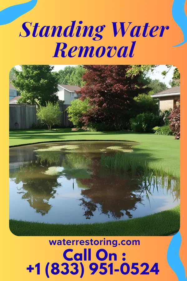 Standing Water Removal in Monomoscoy Island, MA